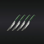 Steak Knife & Bistecca Plate Set, 16-pc (Green)